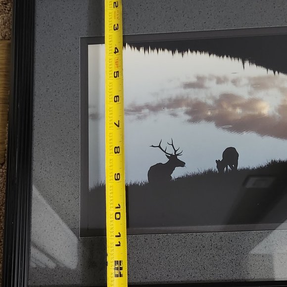 Wildlife Photo Art American Elk in Estes Colorado by Tom Mussehl - Picture 10 of 10